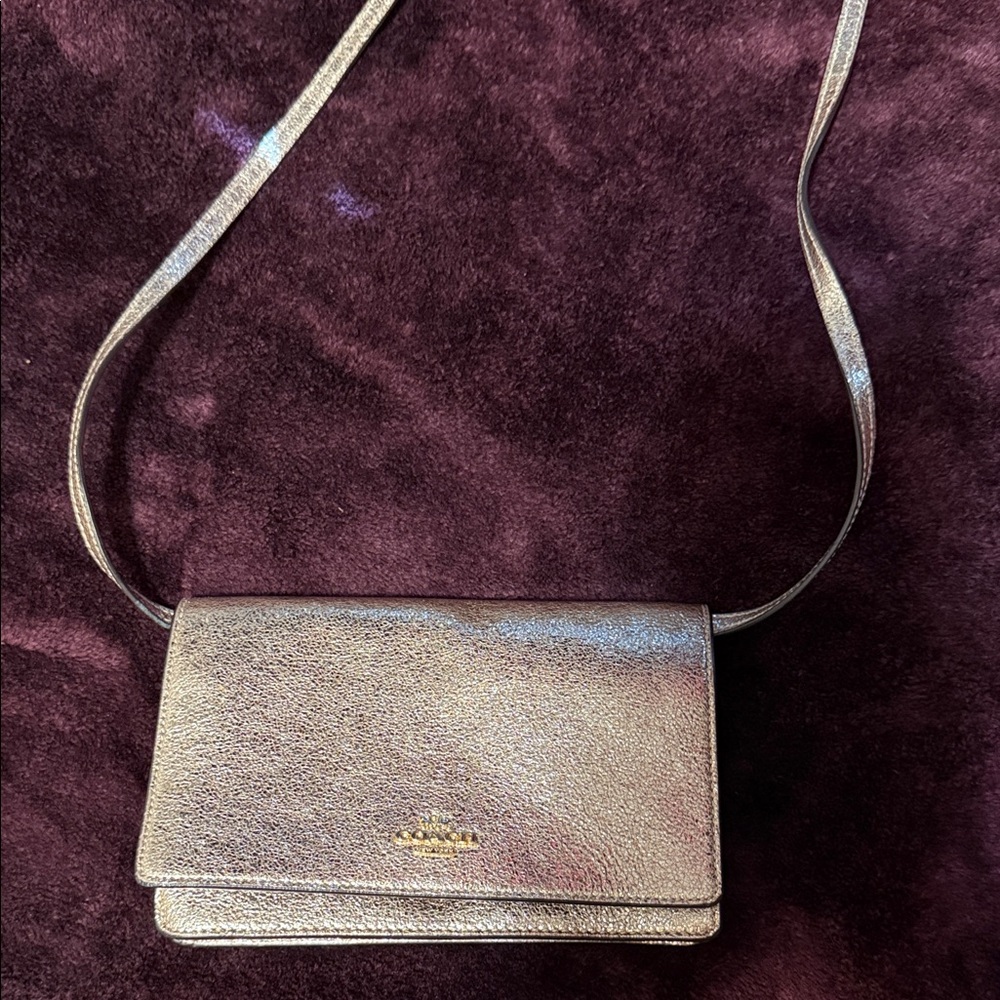 Coach Shimmering Silver Crossbody Bag